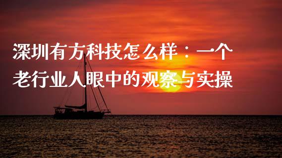 深圳有方科技怎么样：一个老行业人眼中的观察与实操_https://cj002.lansai.wang_理财问答_第1张