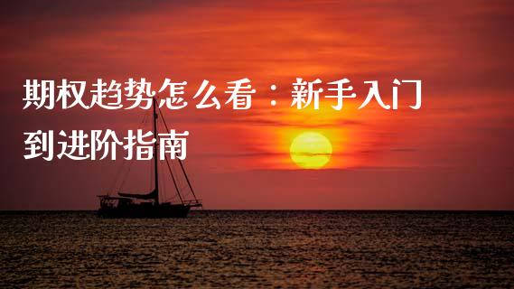 期权趋势怎么看：新手入门到进阶指南_https://cj002.lansai.wang_财经百问_第1张