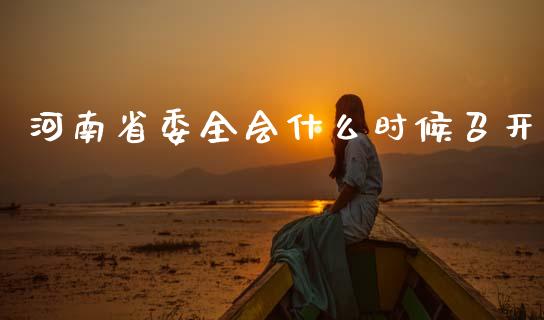河南省委全会什么时候召开_https://cj002.lansai.wang_理财问答_第1张