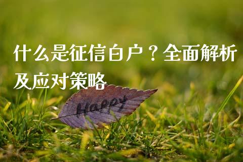 什么是征信白户?全面解析及应对策略_理财问答_第1张_财经百问网 什么是征信白户?全面解析及应对策略_https://cj002.lansai.wang_理财问答_第1张