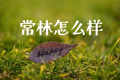 常林怎么样_https://cj002.lansai.wang_金融问答_第1张