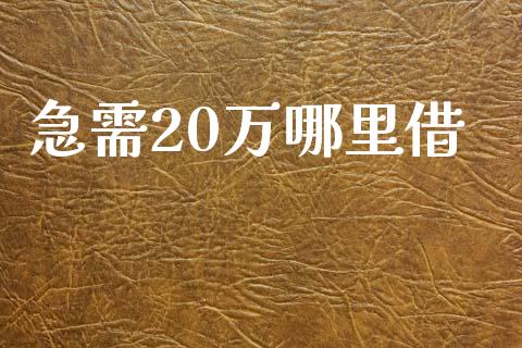 急需20万哪里借_https://cj002.lansai.wang_财经问答_第1张