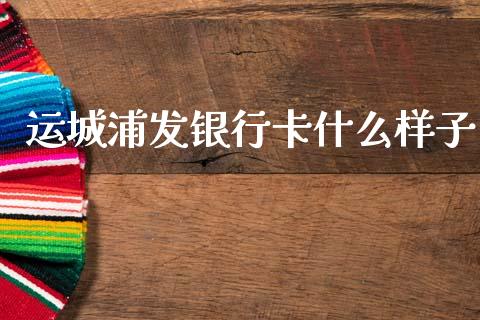 运城浦发银行卡什么样子_https://cj002.lansai.wang_金融问答_第1张