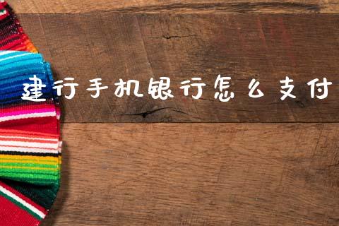 建行手机银行怎么支付_https://cj002.lansai.wang_财经百问_第1张