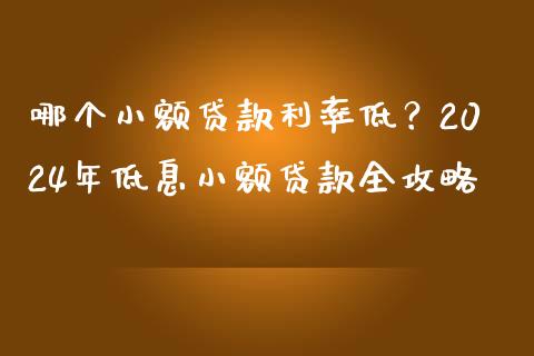 哪个小额贷款利率低？2024年低息小额贷款全攻略_https://cj002.lansai.wang_会计问答_第1张