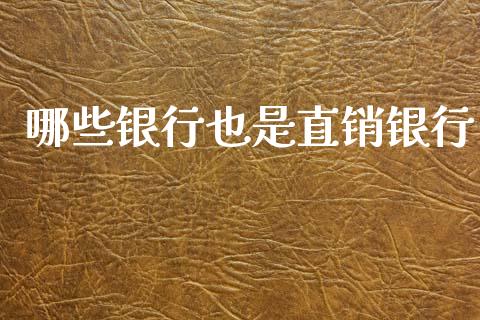 哪些银行也是直销银行_https://cj002.lansai.wang_金融问答_第1张
