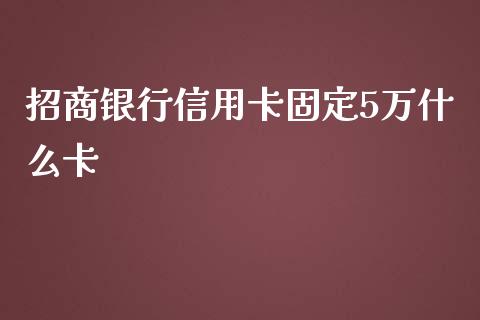 招商银行信用卡固定5万什么卡_https://cj002.lansai.wang_金融问答_第1张