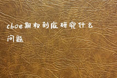 cboe期权到底研究什么问题_https://cj002.lansai.wang_金融问答_第1张