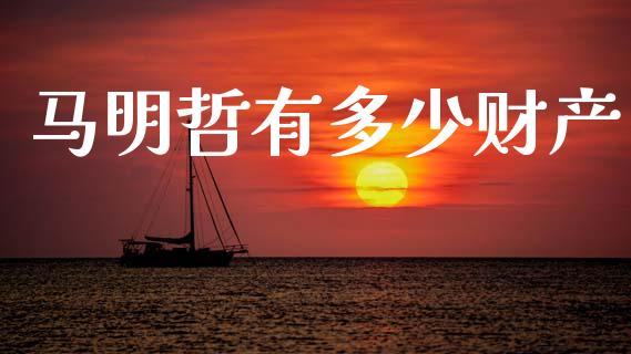 马明哲有多少财产_https://cj002.lansai.wang_保险问答_第1张