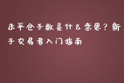 未平仓手数是什么意思？新手交易者入门指南_https://cj002.lansai.wang_金融问答_第1张