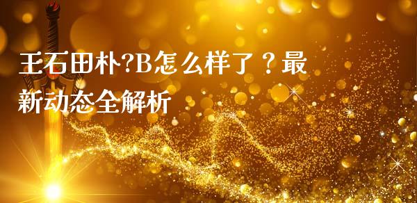 王石田朴?B怎么样了？最新动态全解析_https://cj002.lansai.wang_股市问答_第1张