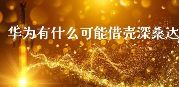 华为有什么可能借壳深桑达_https://cj002.lansai.wang_股市问答_第1张
