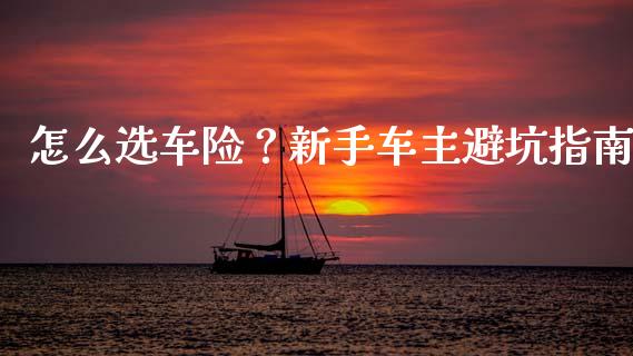 怎么选车险？新手车主避坑指南_https://cj002.lansai.wang_保险问答_第1张
