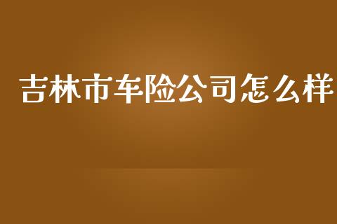 吉林市车险公司怎么样_https://cj002.lansai.wang_保险问答_第1张