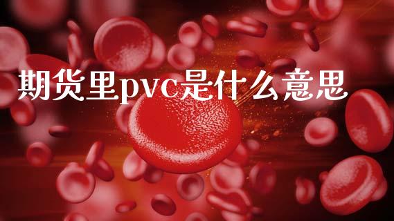 期货里pvc是什么意思_财经百问_第1张_财经百问网 期货里pvc是什么意思_https://cj002.lansai.wang_财经百问_第1张