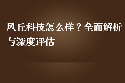 风丘科技怎么样？全面解析与深度评估_https://cj002.lansai.wang_理财问答_第1张