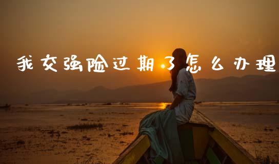 我交强险过期了怎么办理_https://cj002.lansai.wang_保险问答_第1张