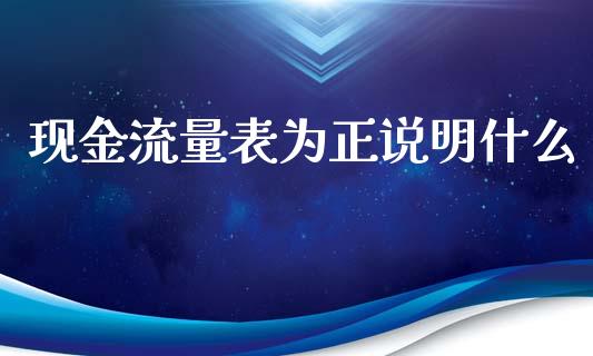 现金流量表为正说明什么_https://cj002.lansai.wang_会计问答_第1张