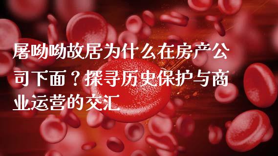 屠呦呦故居为什么在房产公司下面？探寻历史保护与商业运营的交汇_https://cj002.lansai.wang_理财问答_第1张
