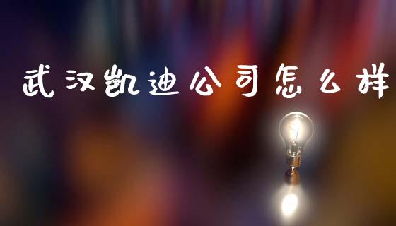 武汉凯迪公司怎么样_https://cj002.lansai.wang_理财问答_第1张