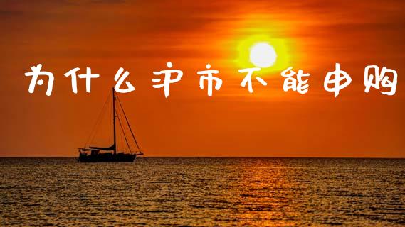 为什么沪市不能申购_https://cj002.lansai.wang_财经问答_第1张