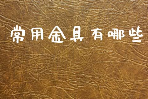常用金具有哪些_https://cj002.lansai.wang_财经百问_第1张