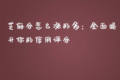 芝麻分怎么涨的多:全面提升你的信用评分_金融问答_第1张_财经百问网 芝麻分怎么涨的多:全面提升你的信用评分_https://cj002.lansai.wang_金融问答_第1张