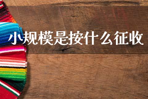 小规模是按什么征收_https://cj002.lansai.wang_会计问答_第1张