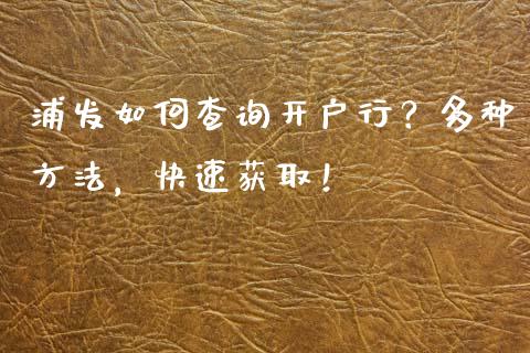 浦发如何查询开户行?多种方法,快速获取!_期货问答_第1张_财经百问网 浦发如何查询开户行?多种方法,快速获取!_https://cj002.lansai.wang_期货问答_第1张