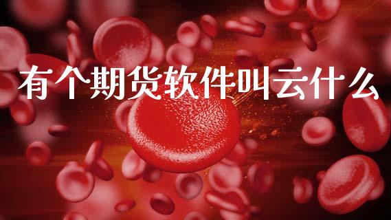 有个期货软件叫云什么_财经问答_第1张_财经百问网 有个期货软件叫云什么_https://cj002.lansai.wang_财经问答_第1张