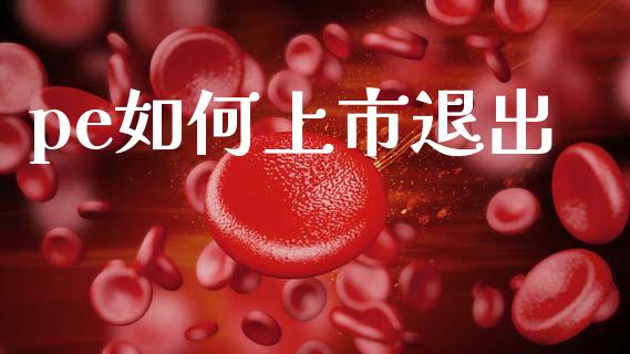 pe如何上市退出_https://cj002.lansai.wang_理财问答_第1张