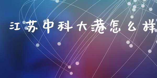 江苏中科大港怎么样_https://cj002.lansai.wang_金融问答_第1张