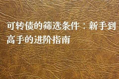 可转债的筛选条件：新手到高手的进阶指南_https://cj002.lansai.wang_保险问答_第1张