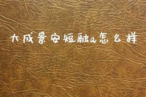 大成景安短融a怎么样_https://cj002.lansai.wang_会计问答_第1张