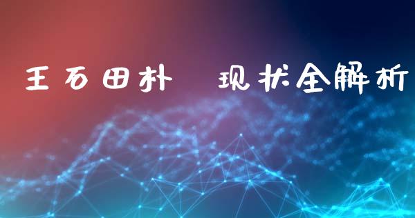 王石田朴珺现状全解析_https://cj002.lansai.wang_金融问答_第1张