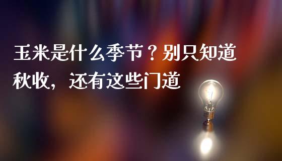 玉米是什么季节？别只知道秋收，还有这些门道_https://cj002.lansai.wang_会计问答_第1张