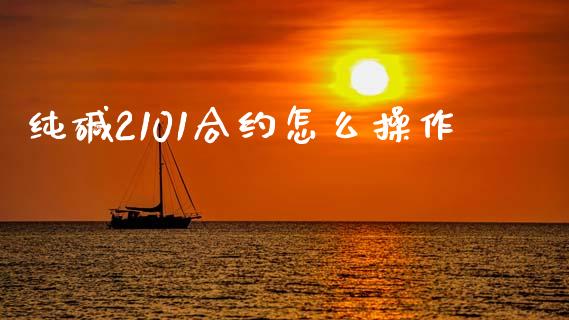 纯碱2101合约怎么操作_https://cj002.lansai.wang_期货问答_第1张