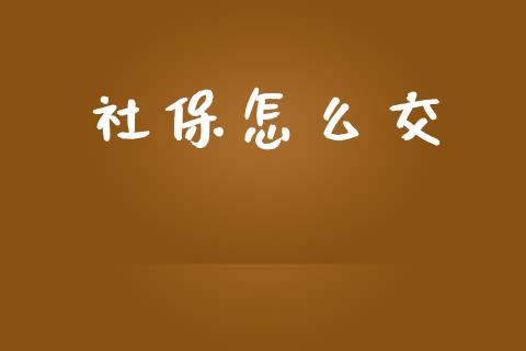 社保怎么交_https://cj002.lansai.wang_保险问答_第1张