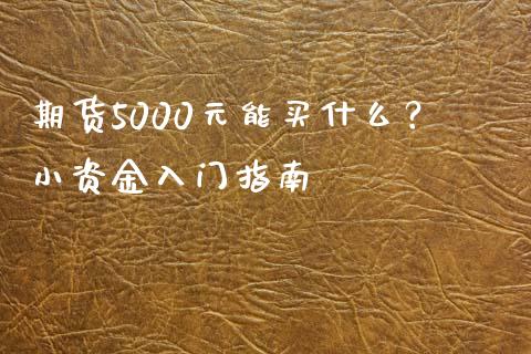 期货5000元能买什么？小资金入门指南_https://cj002.lansai.wang_保险问答_第1张
