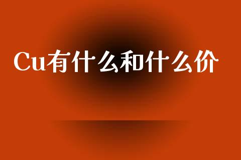 Cu有什么和什么价_https://cj002.lansai.wang_期货问答_第1张