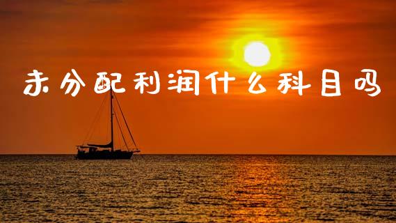 未分配利润什么科目吗_https://cj002.lansai.wang_会计问答_第1张
