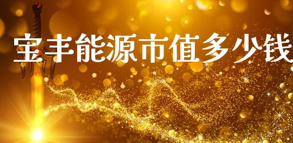 宝丰能源市值多少钱_https://cj002.lansai.wang_股市问答_第1张