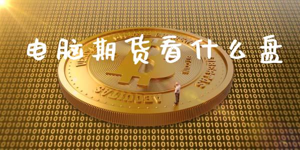 电脑期货看什么盘_https://cj002.lansai.wang_会计问答_第1张