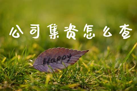 公司集资怎么查_https://cj002.lansai.wang_财经百问_第1张