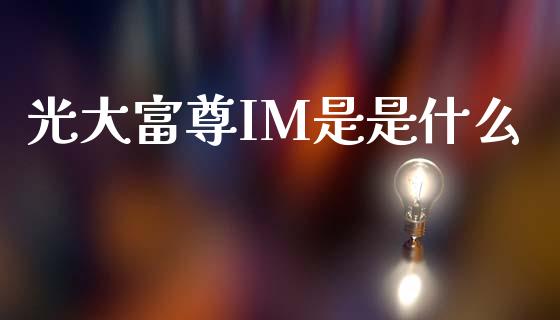 光大富尊IM是是什么_https://cj002.lansai.wang_金融问答_第1张