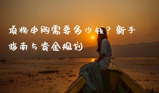 顶格申购需要多少钱？新手指南与资金规划_https://cj002.lansai.wang_会计问答_第1张