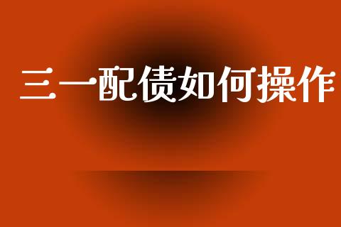 三一配债如何操作_https://cj002.lansai.wang_期货问答_第1张
