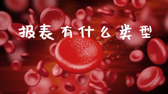 报表有什么类型_https://cj002.lansai.wang_会计问答_第1张
