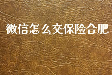 微信怎么交保险合肥_https://cj002.lansai.wang_保险问答_第1张