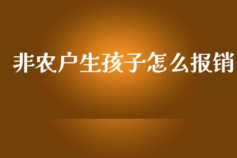 非农户生孩子怎么报销_https://cj002.lansai.wang_保险问答_第1张